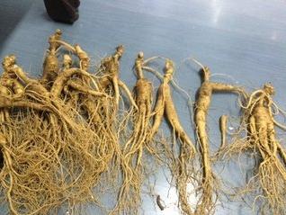 买人参科普,网上买的干人参应该注意哪几点