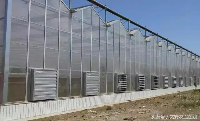 建个种植大棚要多少钱,盖个蔬菜大棚一亩要多少钱