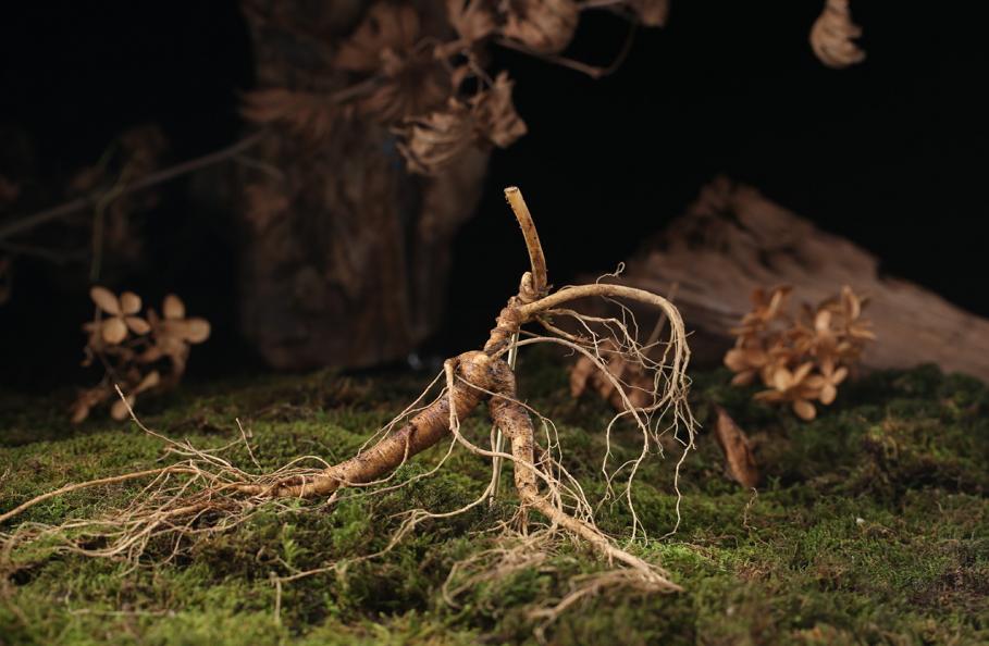 买人参科普,网上买的干人参应该注意哪几点