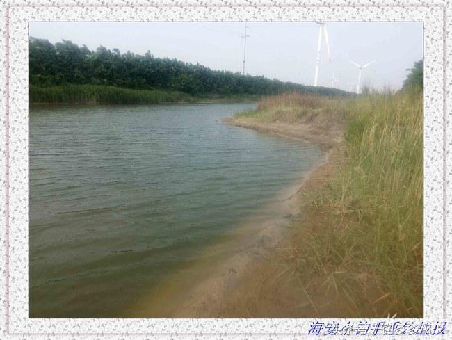 一年四季都能够钓的鱼种,一年四季可钓的鱼种