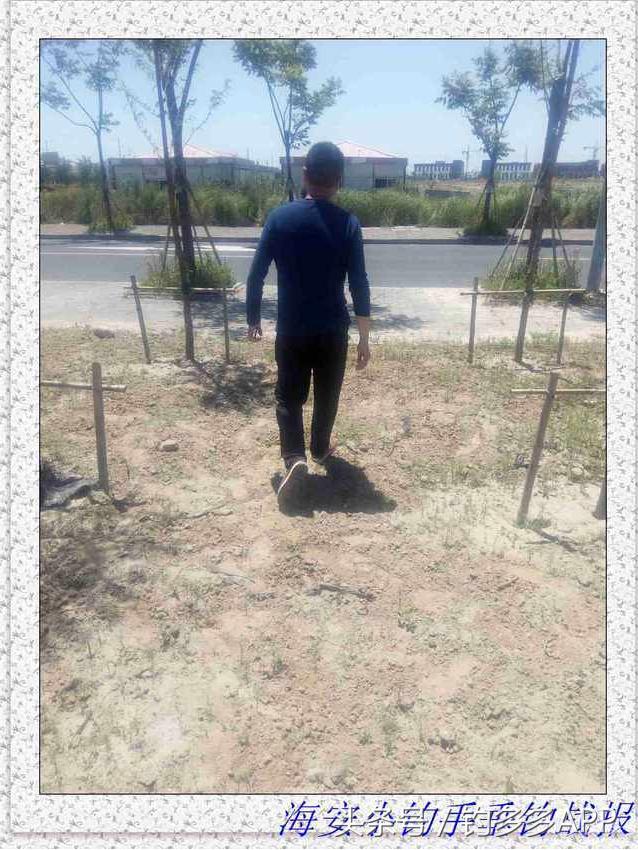 一年四季都能够钓的鱼种,一年四季可钓的鱼种