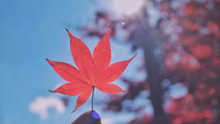 5000元玩转日本岐阜县三城（三）下吕有温泉