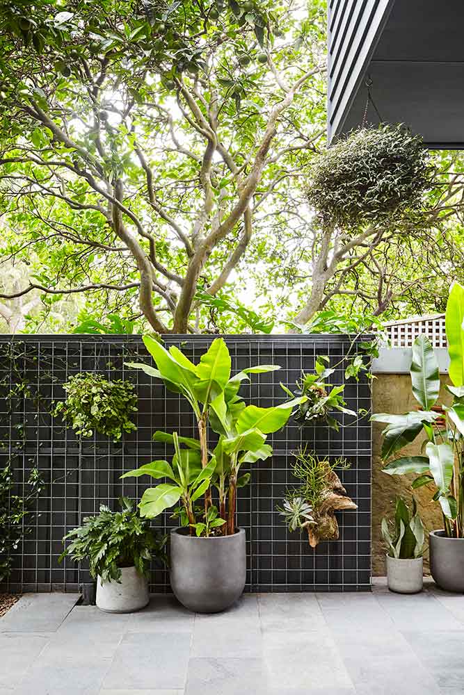 悉尼bondi海滩海景房,悉尼bondi海滩雕塑系展