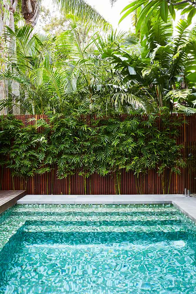 悉尼bondi海滩海景房,悉尼bondi海滩雕塑系展