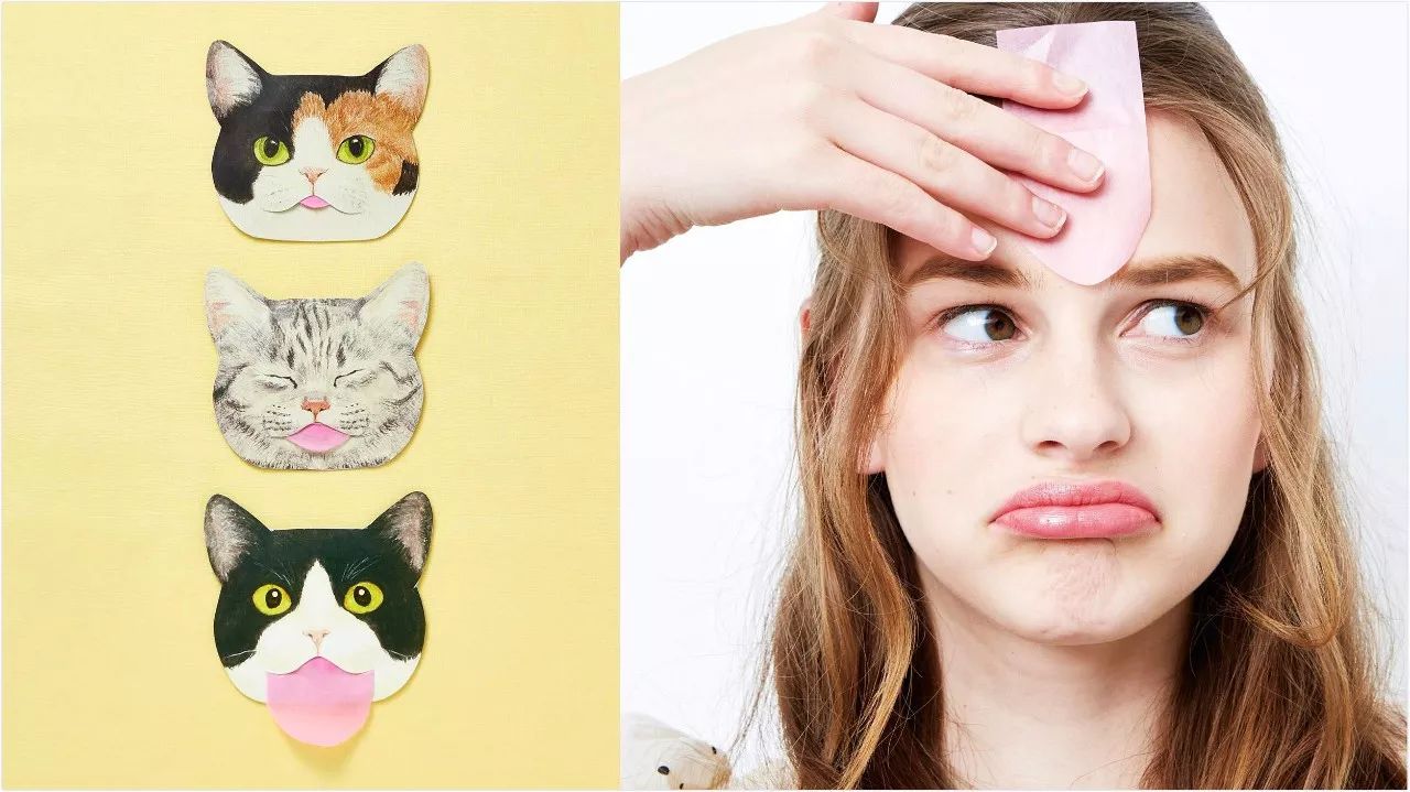 对不起，不能我一个人穷！只能把这些美翻了的猫咪美妆安利给你了