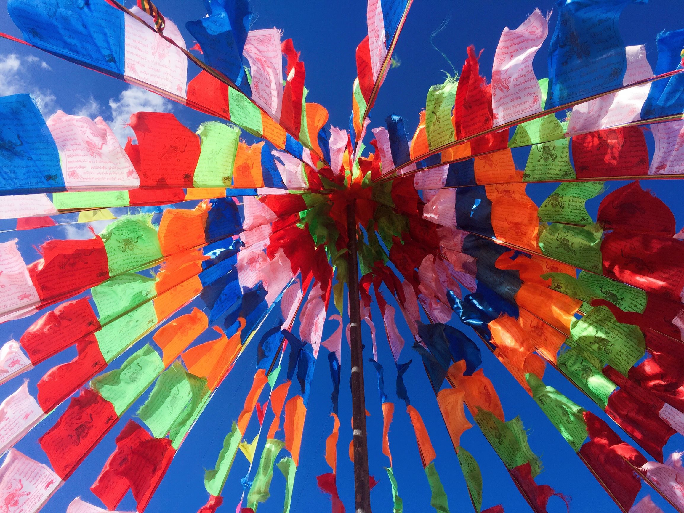 德爷野外生存烧烤,德爷野外挨饿求生视频合集