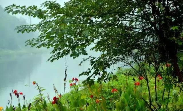 武汉地铁2号线游玩攻略沿线商圈,武汉地铁四号线哪里值得去玩