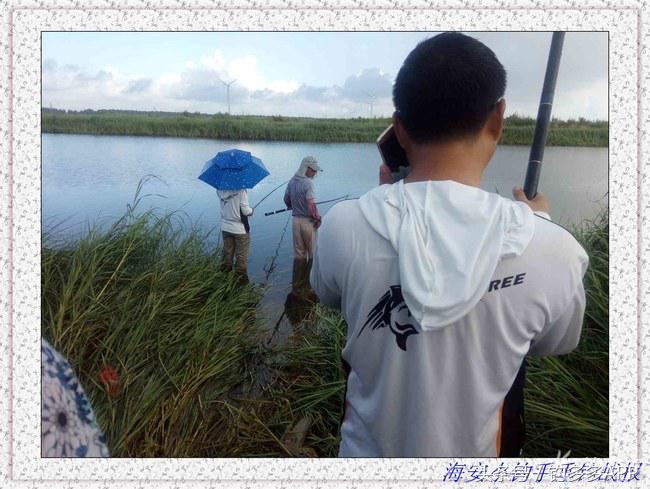 一年四季都能够钓的鱼种,一年四季可钓的鱼种