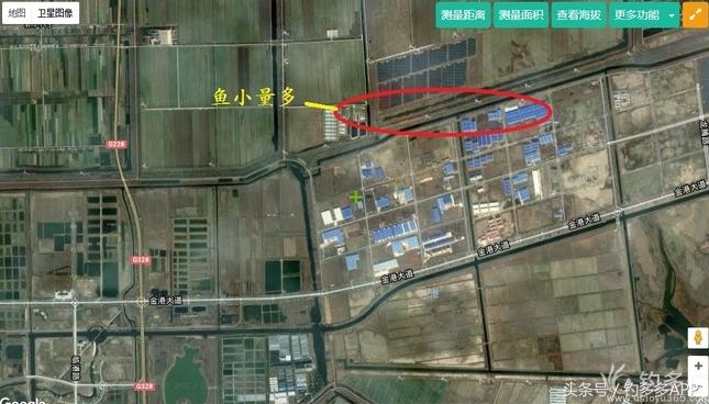 一年四季都能够钓的鱼种,一年四季可钓的鱼种