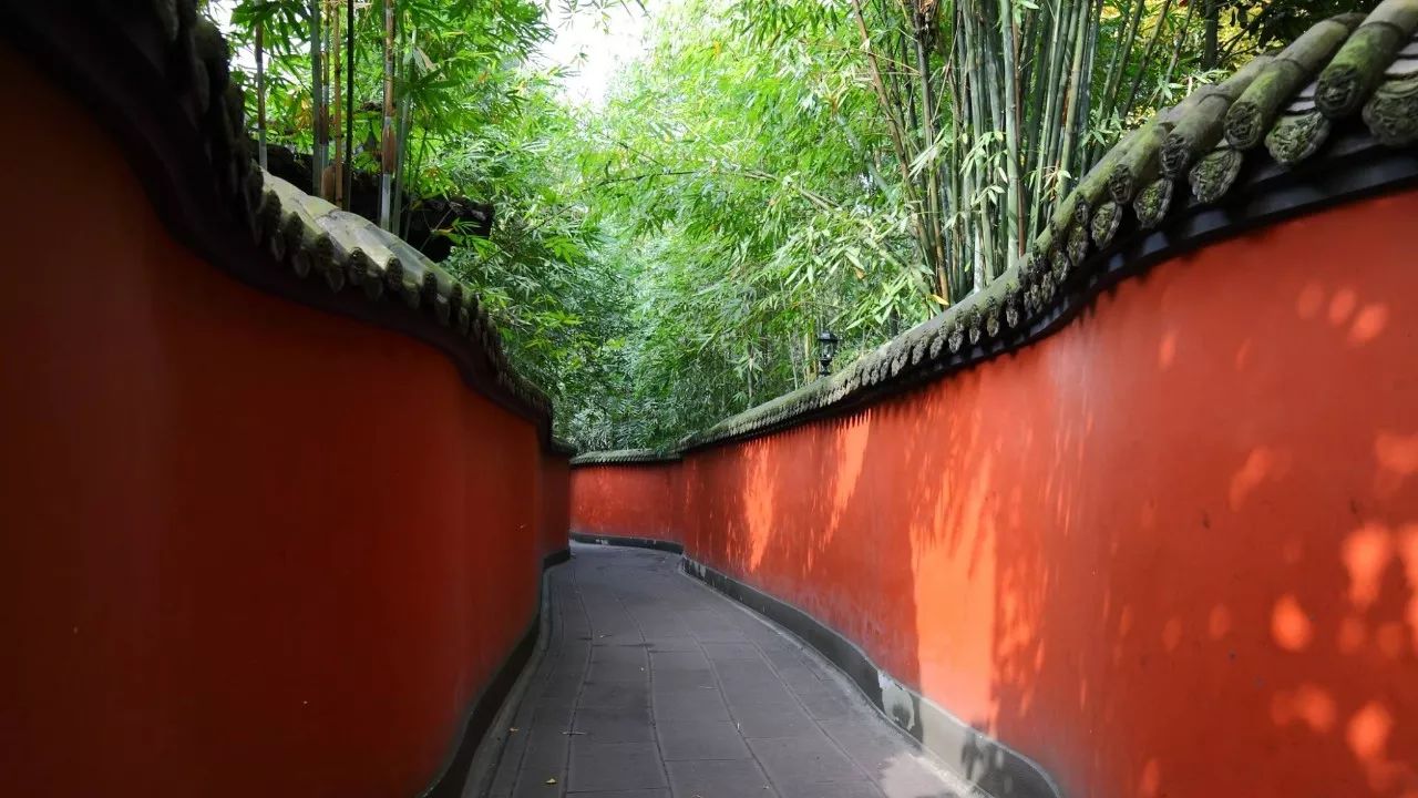 一分钟吃遍成都特色美食,带你一起吃遍成都的美食