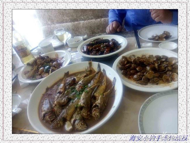 一年四季都能够钓的鱼种,一年四季可钓的鱼种