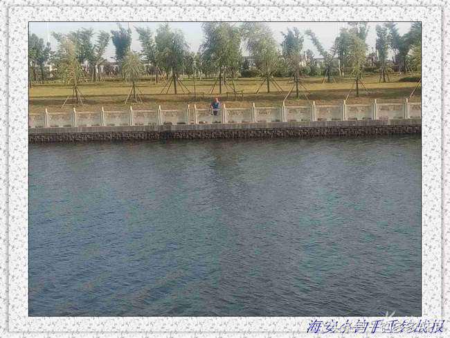 一年四季都能够钓的鱼种,一年四季可钓的鱼种