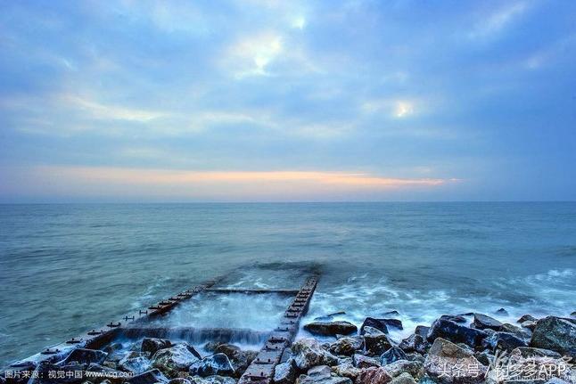 一年四季都能够钓的鱼种,一年四季可钓的鱼种