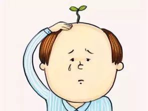 我曾经是个王者歌曲,曾经是个王者后来也绝望了