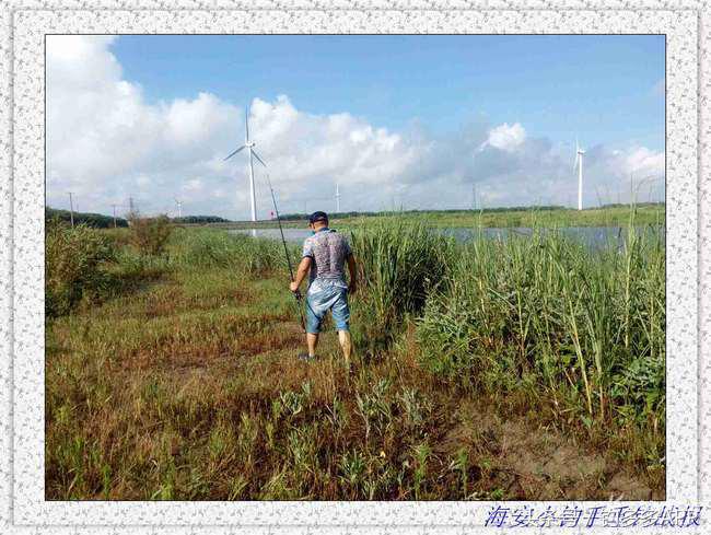 一年四季都能够钓的鱼种,一年四季可钓的鱼种