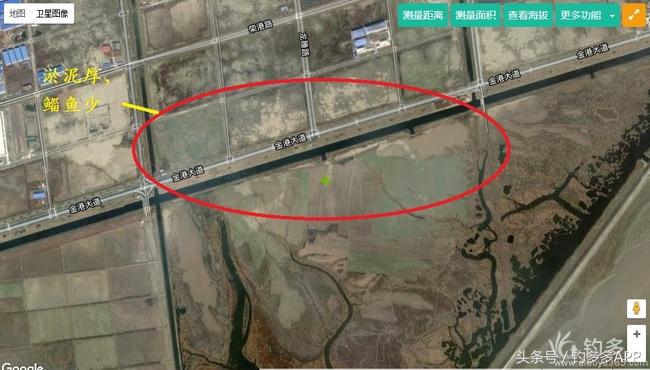 一年四季都能够钓的鱼种,一年四季可钓的鱼种