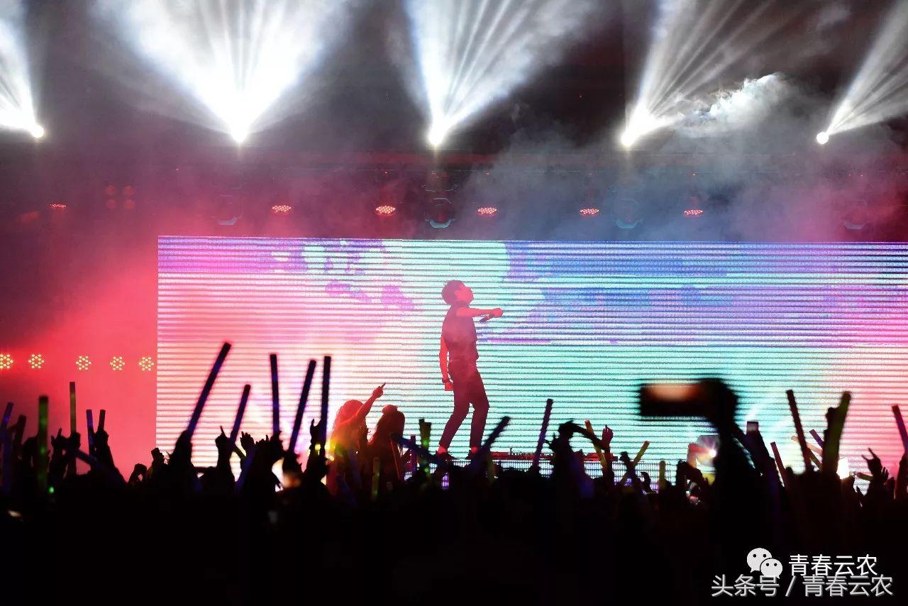 社团嘉年华会场,社团嘉年华图片大全