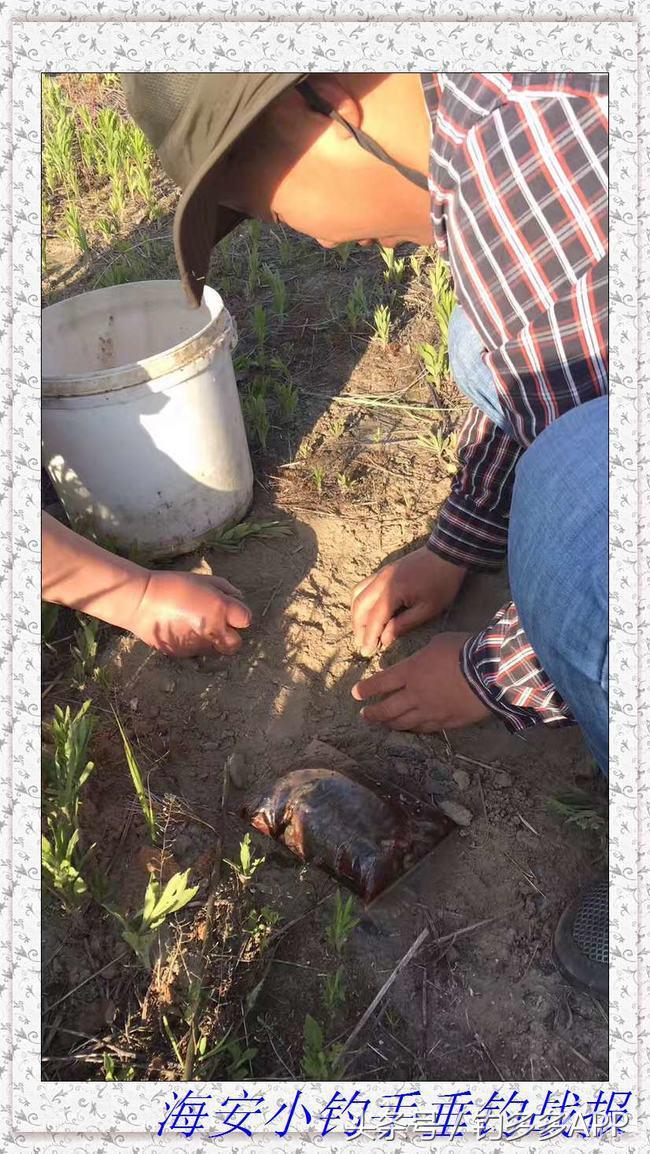 一年四季都能够钓的鱼种,一年四季可钓的鱼种