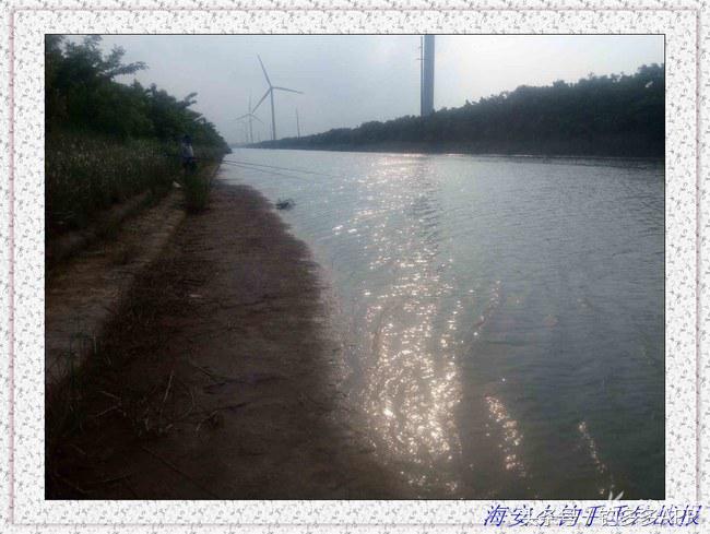 一年四季都能够钓的鱼种,一年四季可钓的鱼种