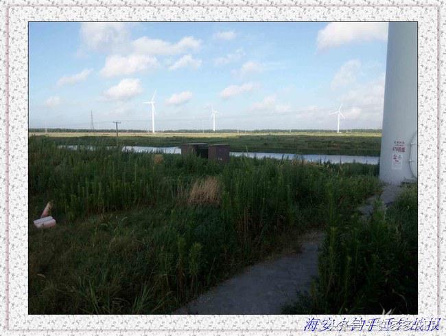 一年四季都能够钓的鱼种,一年四季可钓的鱼种