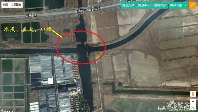 一年四季都能够钓的鱼种,一年四季可钓的鱼种