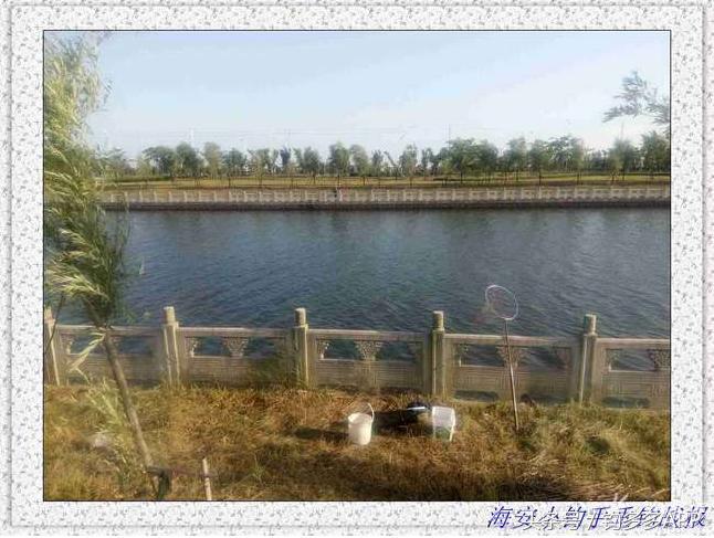 一年四季都能够钓的鱼种,一年四季可钓的鱼种