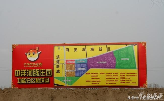 一年四季都能够钓的鱼种,一年四季可钓的鱼种