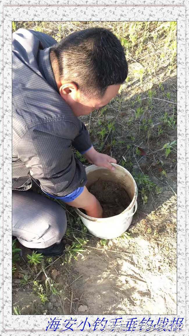 一年四季都能够钓的鱼种,一年四季可钓的鱼种