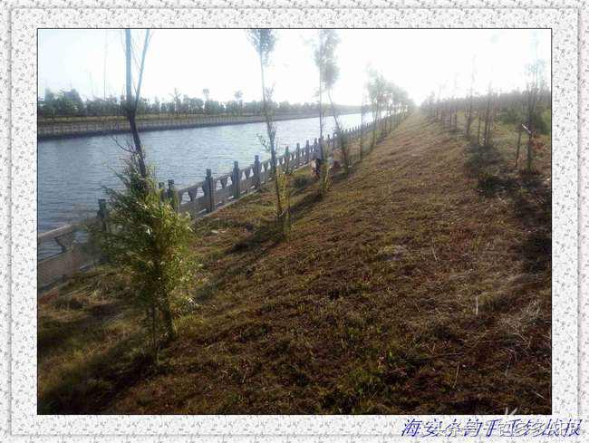 一年四季都能够钓的鱼种,一年四季可钓的鱼种