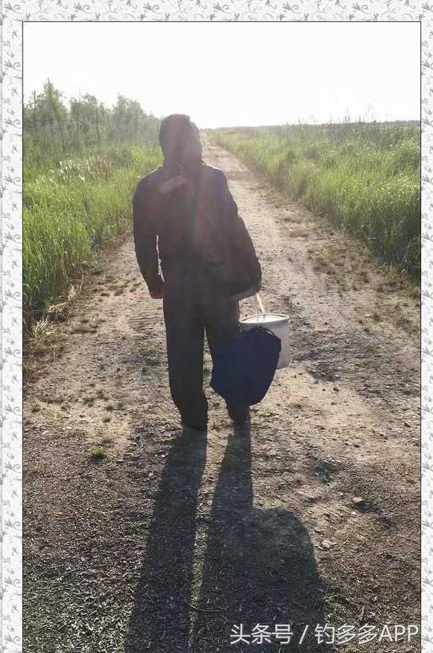 一年四季都能够钓的鱼种,一年四季可钓的鱼种