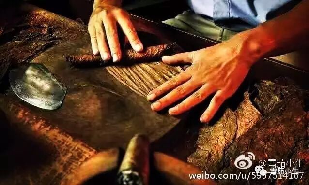 常见雪茄烟,常见古巴雪茄