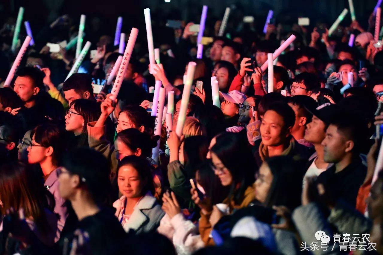 社团嘉年华会场,社团嘉年华图片大全