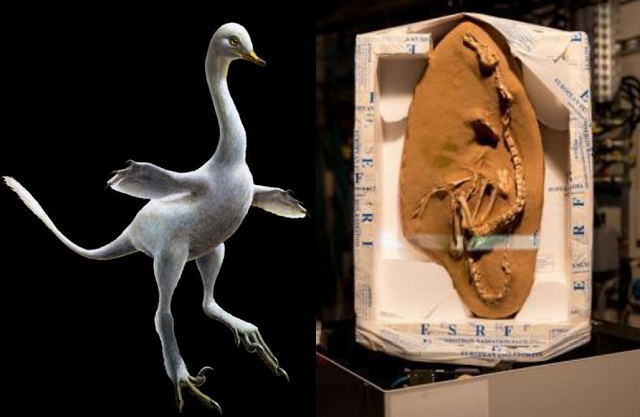 c罗获金球奖完全视频,c罗颁金球奖