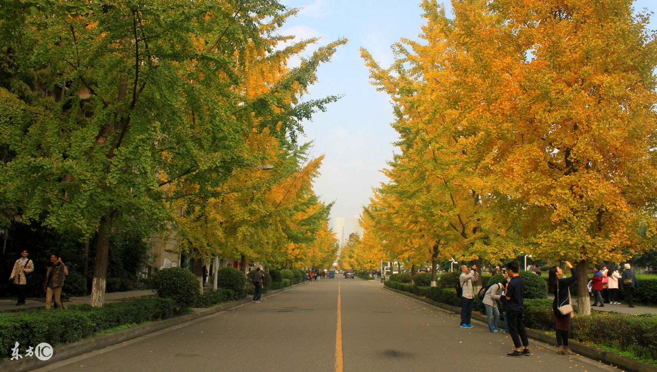 四川方言的魅力马未都,四川方言魅力文章