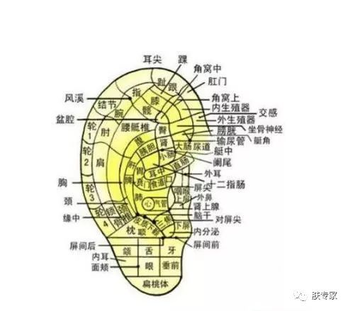 法令纹能够通过护肤品改善吗,有护肤手法真的能淡化法令纹吗