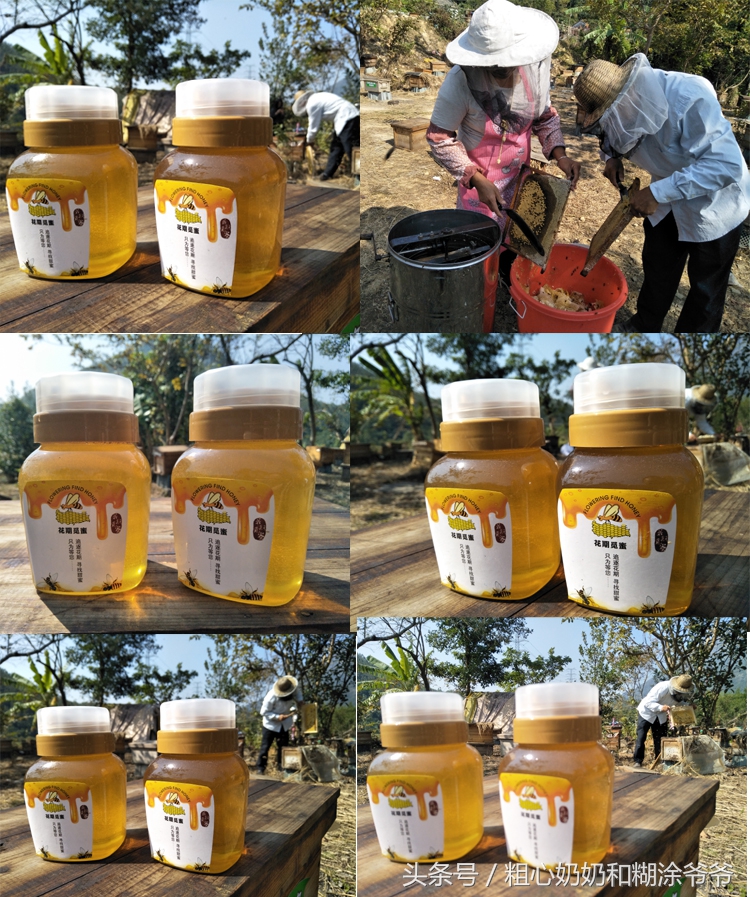 原生态土蜂鸭脚木冬蜜,土蜂鸭脚木冬蜜价格表