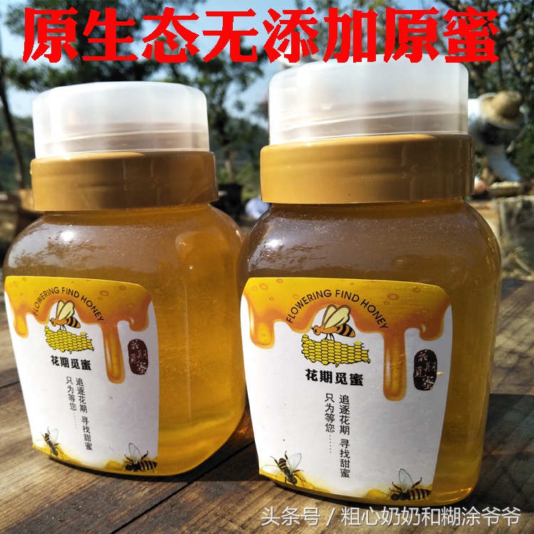 原生态土蜂鸭脚木冬蜜,土蜂鸭脚木冬蜜价格表