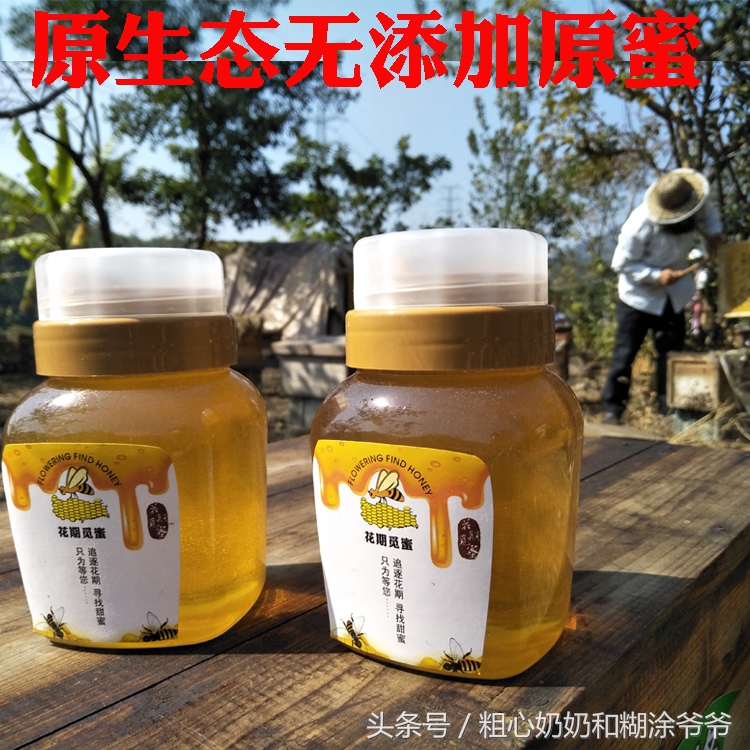 原生态土蜂鸭脚木冬蜜,土蜂鸭脚木冬蜜价格表