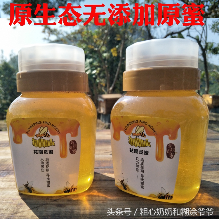 原生态土蜂鸭脚木冬蜜,土蜂鸭脚木冬蜜价格表