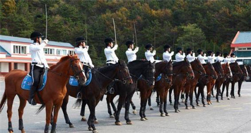 大连景点有哪些好玩的地方,大连福佳新天地好玩的地方