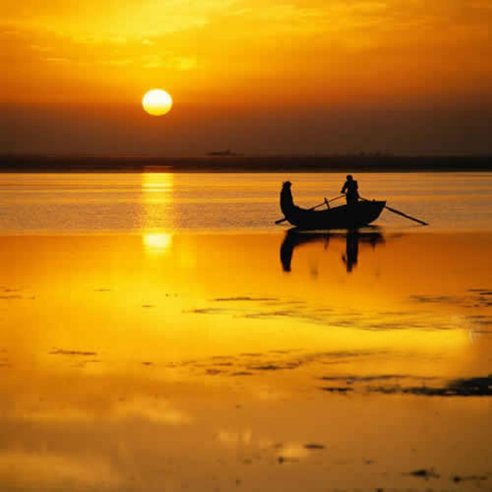 微山湖风景区湖滨湿地,微山湖国家湿地公园