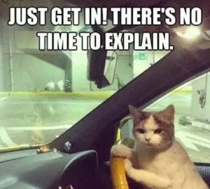 高速上限速120码最高能跑多少码,高速限速120能够跑多少码