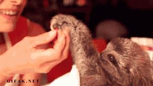 合适小个子的淘宝女装店推荐,通勤值得推荐的淘宝女装店