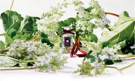 秋冬香水推荐小众平价,很清新很淡的平价香水推荐