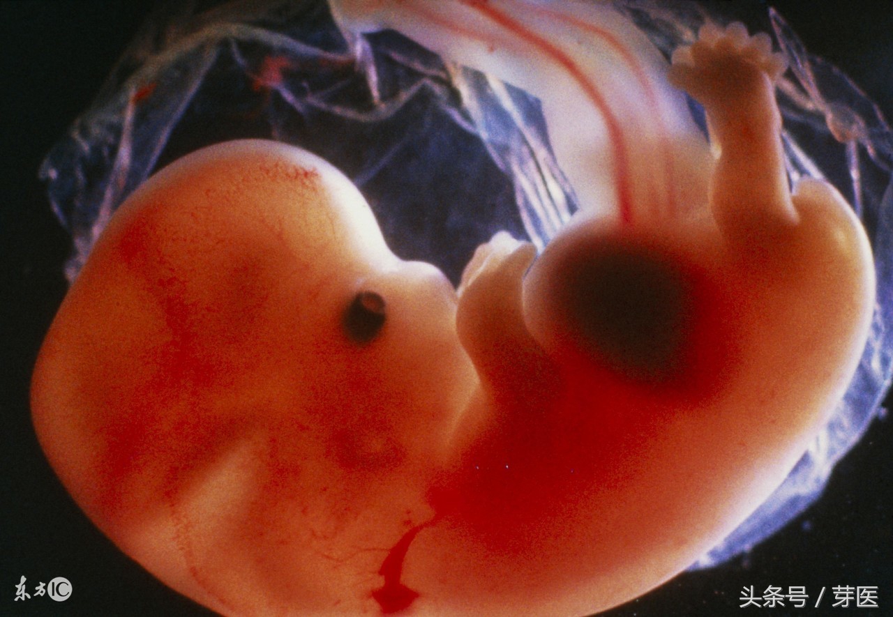 怀上宝宝了叶酸还要吃多久,怀孕了一般吃叶酸多久比较好