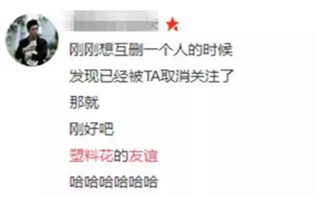 塑料花友谊完全视频,塑料姐妹花真相揭秘