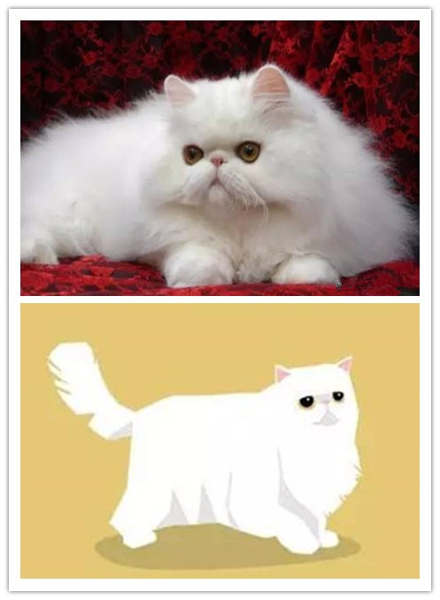 猫咪插画手绘图片,各种猫咪萌化图片