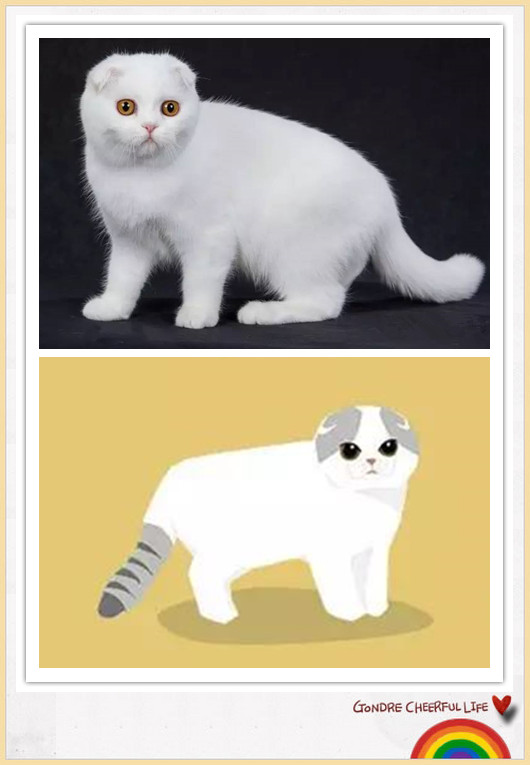 猫咪插画手绘图片,各种猫咪萌化图片