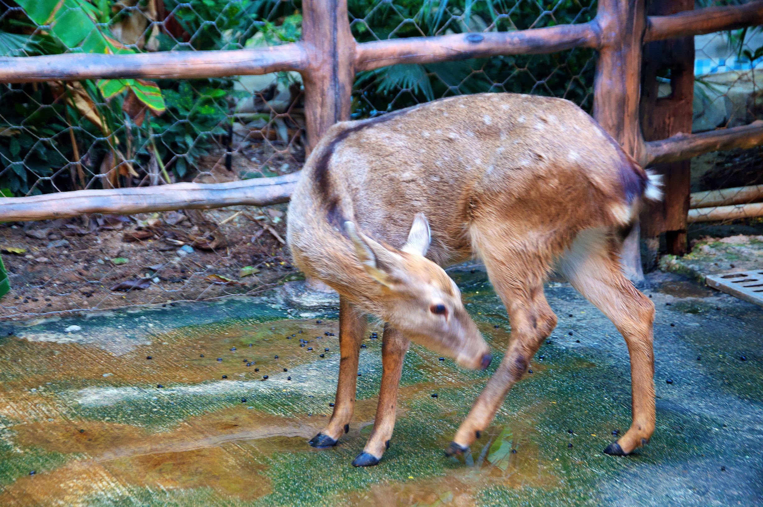 三亚度假之旅完美结束,三亚度假巨无霸五天五夜玩不腻