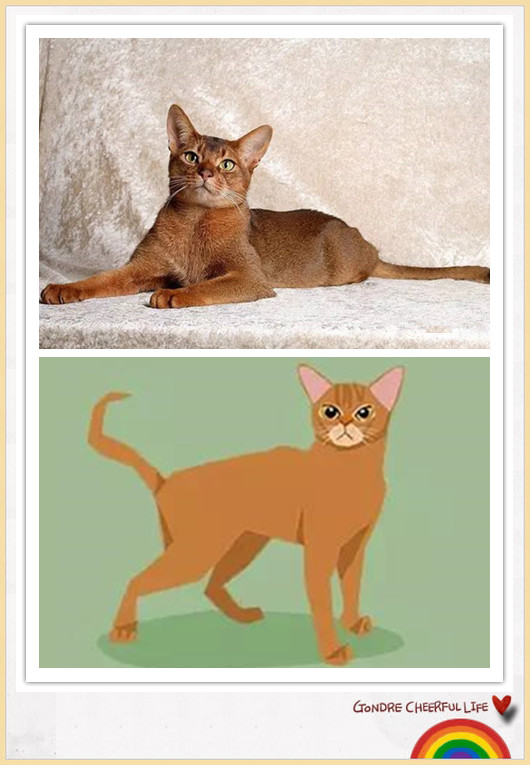 猫咪插画手绘图片,各种猫咪萌化图片